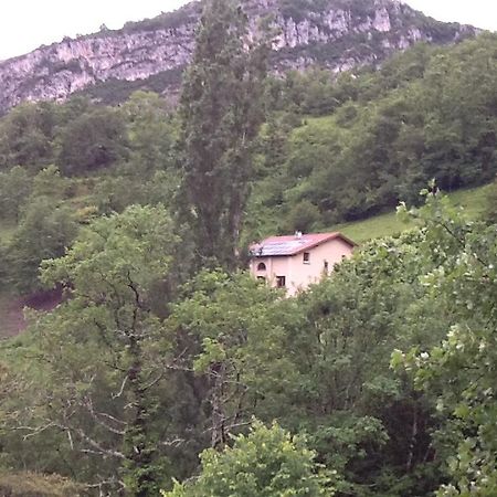 Studio En Pleine Nature Choranche Εξωτερικό φωτογραφία